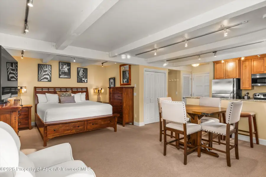 709 E Main Street #201, Aspen, CO 81611 - #2