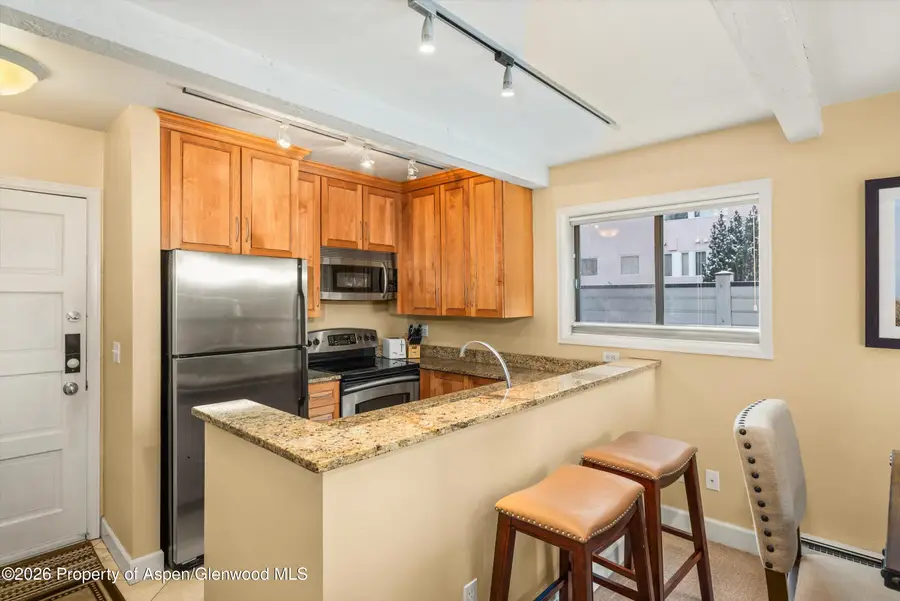 709 E Main Street #201, Aspen, CO 81611 - #3