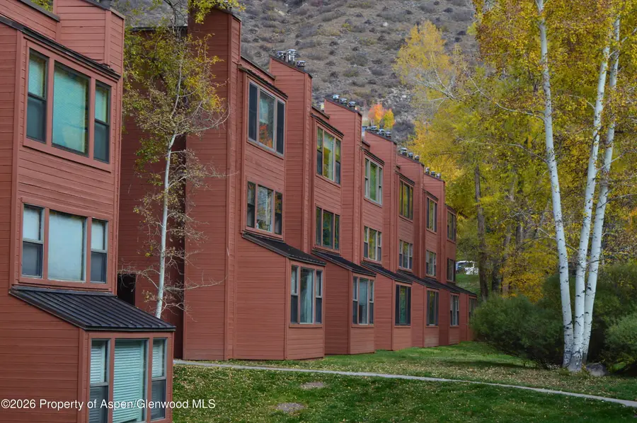 1012 Vine Street, Aspen, CO 81611 - #2