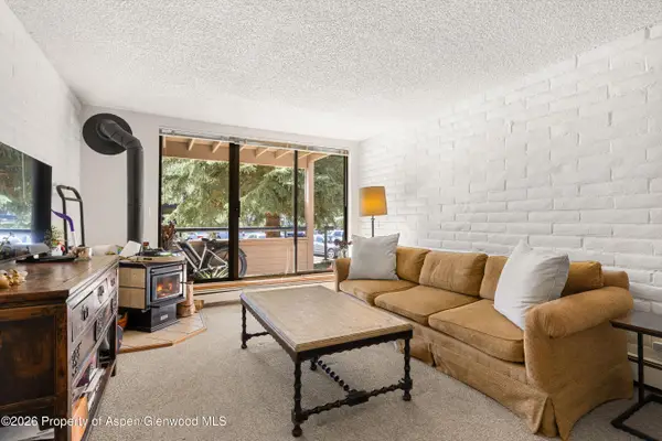 211 Vine Street #201, Aspen, CO 81611