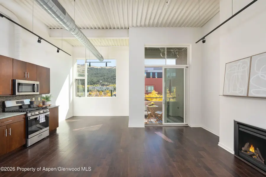 361 Robinson Street #224, Basalt, CO 81621 - #2