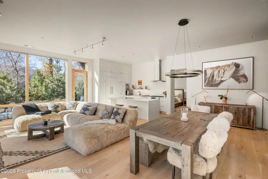 101 Willits Way #104, Basalt, CO 81621 - #2