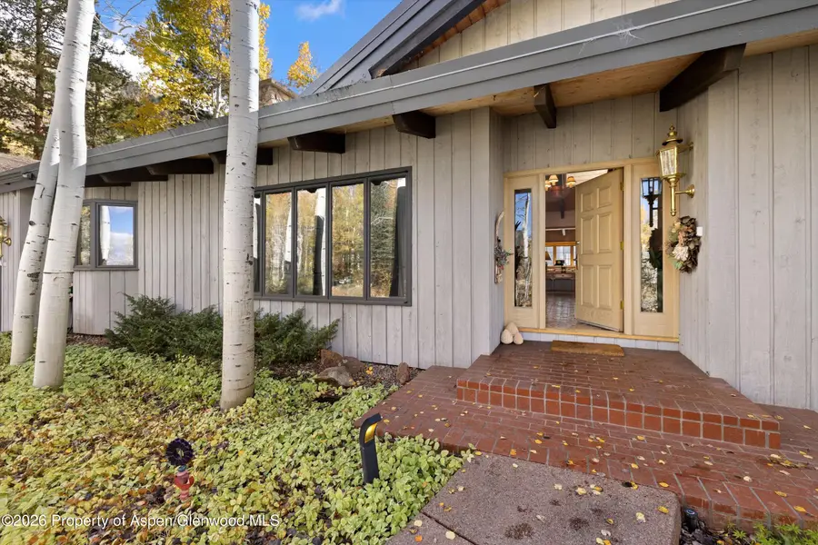 308 Mcskimming Road, Aspen, CO 81611 - #3