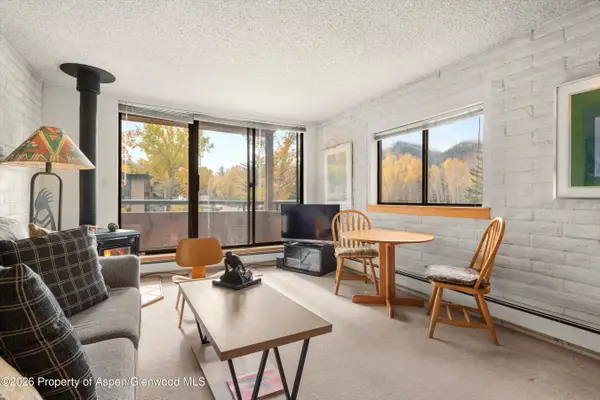 131 Vine Street, Aspen, CO 81611