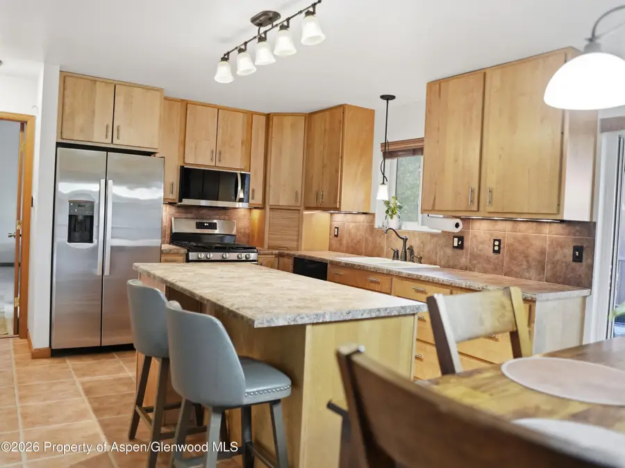 39 Coyote Circle, Carbondale, CO 81623 - #3