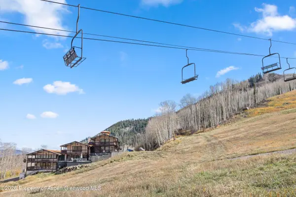 11101 Co Rd 117 #3-D, Glenwood Springs, CO 81601