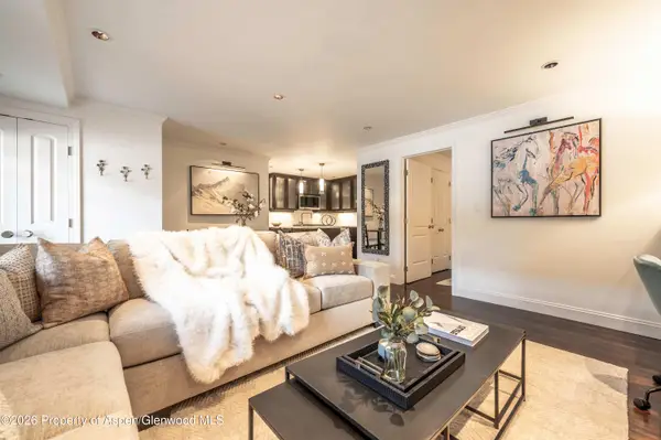 747 S Galena Street #110, Aspen, CO 81611