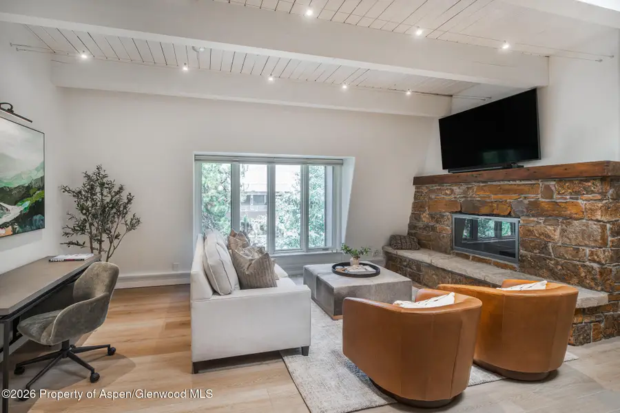 725 E Durant Avenue #19, Aspen, CO 81611 - #2