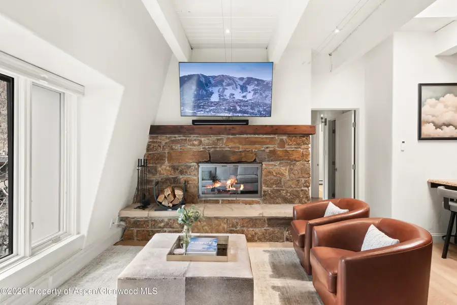 725 E Durant Avenue #19, Aspen, CO 81611 - #3