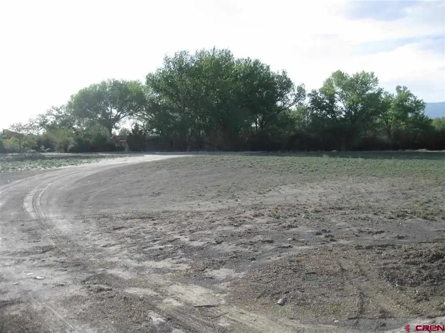 167 Gunnison River Drive, Delta, CO 81416 - #3