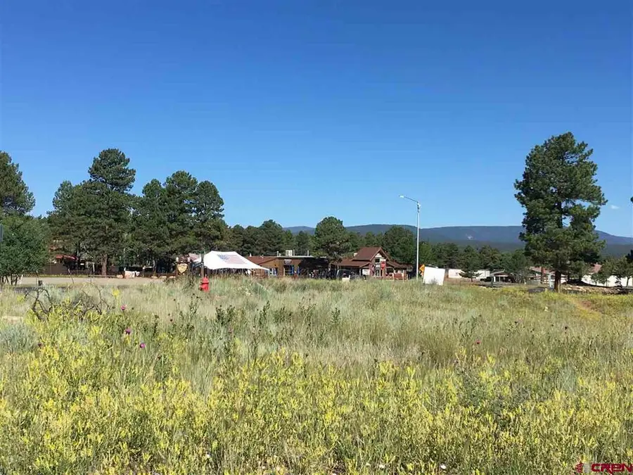 63 N Pagosa Boulevard, Pagosa Springs, CO 81147 - #3