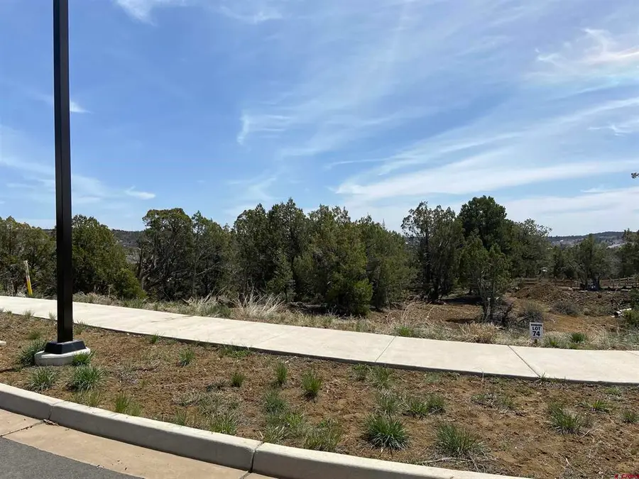 46 Yarrow Court, Durango, CO 81301 - #2