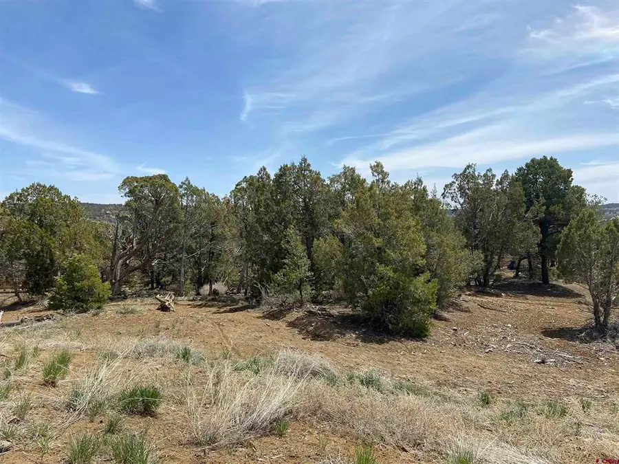 46 Yarrow Court, Durango, CO 81301 - #3