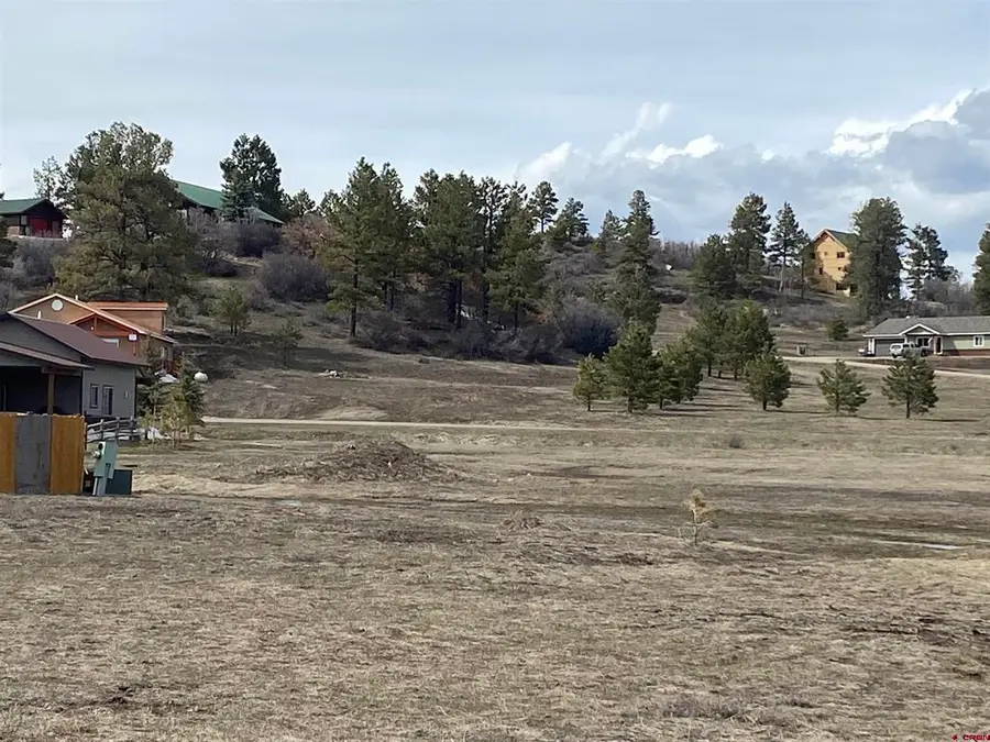61 Hills Circle, Pagosa Springs, CO 81147 - #3