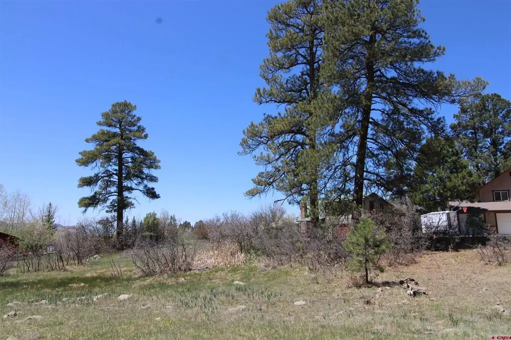 685 Caddy Circle, Pagosa Springs, CO 81147 - #1