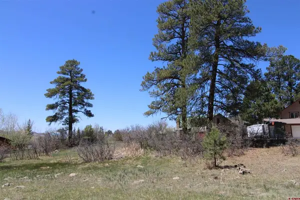 685 Caddy Circle, Pagosa Springs, CO 81147
