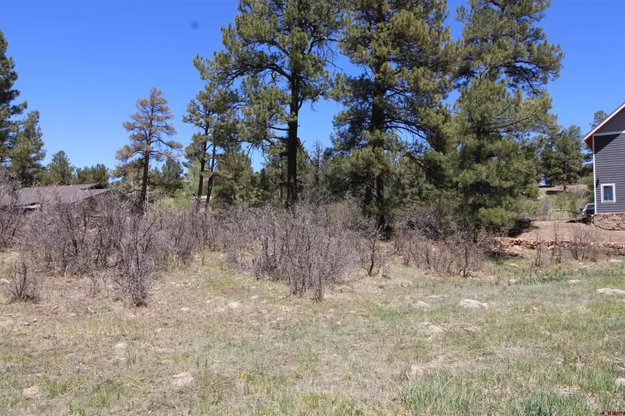 685 Caddy Circle, Pagosa Springs, CO 81147 - #2