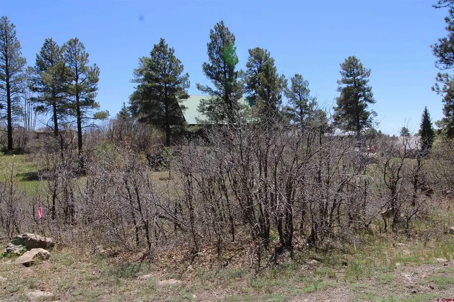 685 Caddy Circle, Pagosa Springs, CO 81147 - #3