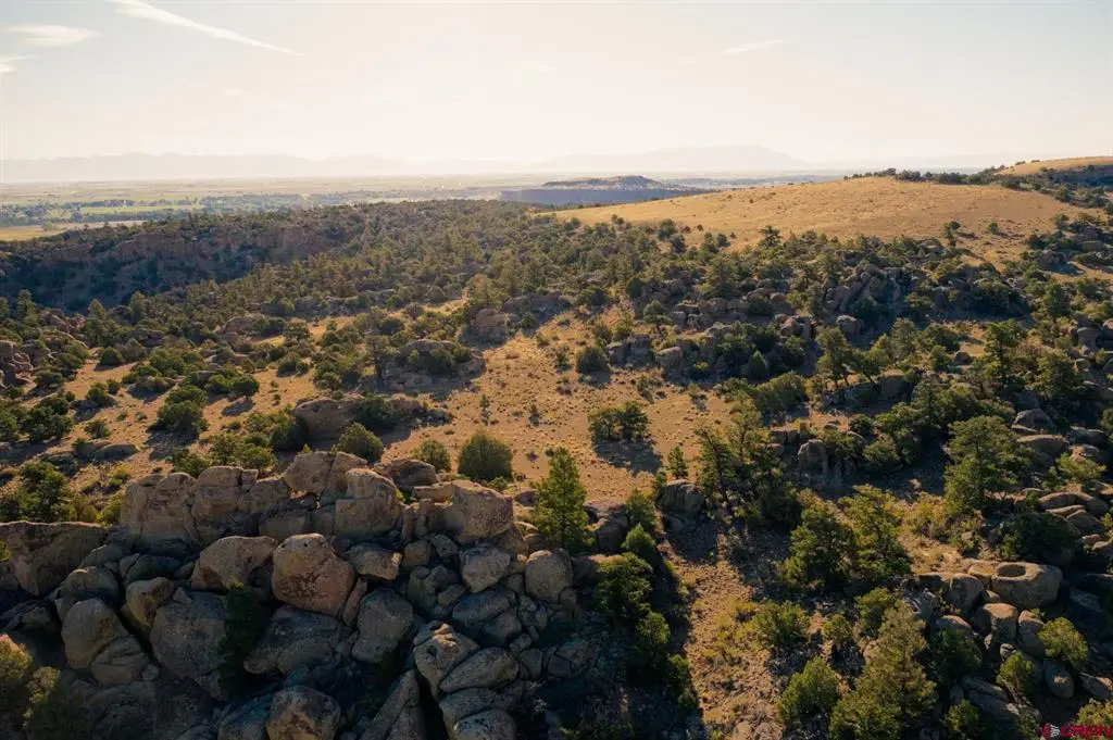 0 Tract 43 Wapiti Ridge Road, Del Norte, CO 81132 - #1