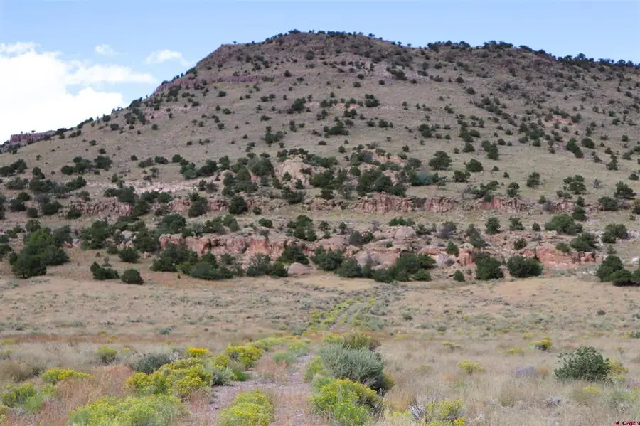 0 Tract 43 Wapiti Ridge Road, Del Norte, CO 81132 - #3