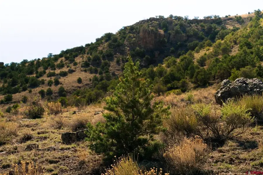 Tract 42 Wapiti Ridge Road, Del Norte, CO 81132 - #3