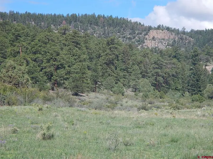 727 Bear Creek Circle, South Fork, CO 81154 - #2