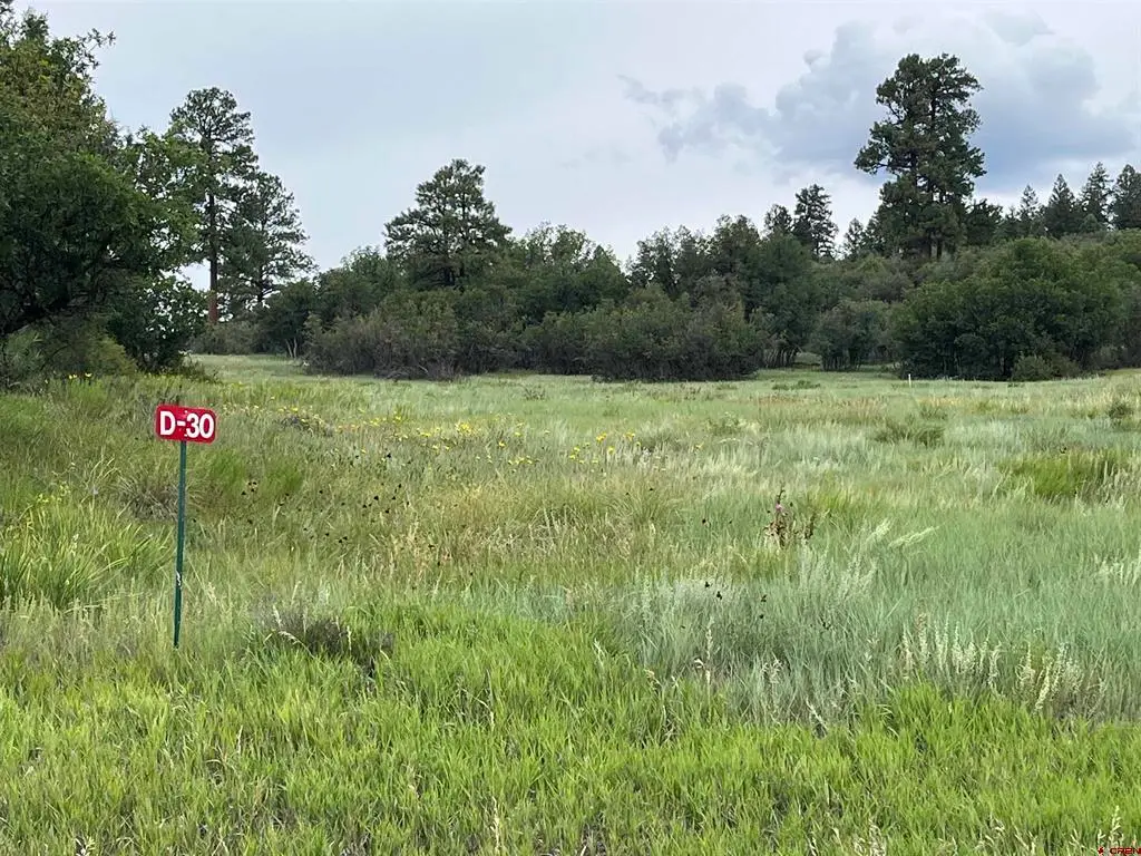 1084 Crowley Drive, Chromo, CO 81147 - #1