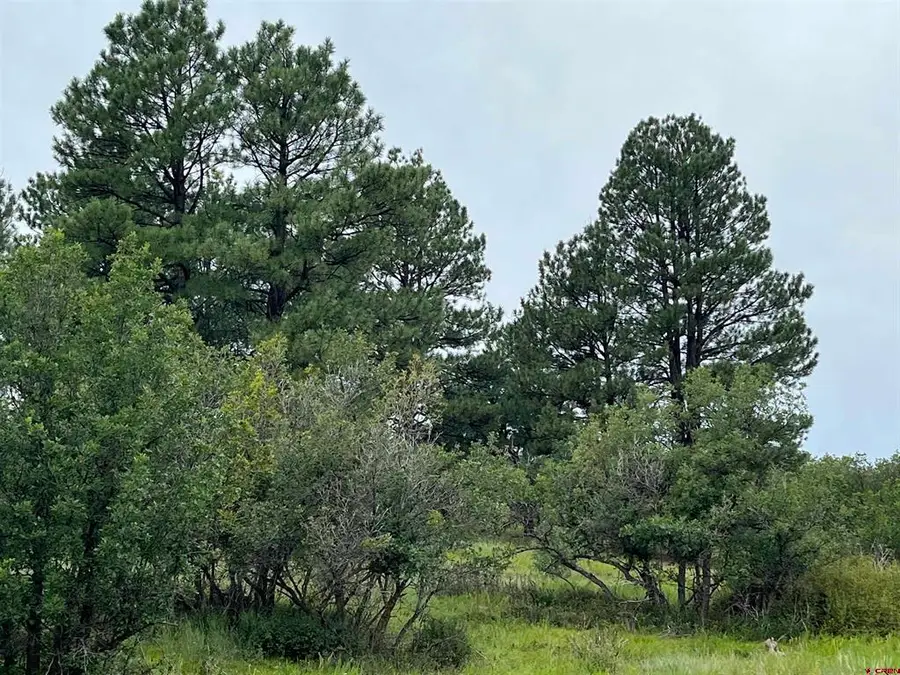 1084 Crowley Drive, Chromo, CO 81147 - #2