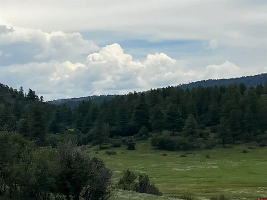 1084 Crowley Drive, Chromo, CO 81147 - #3