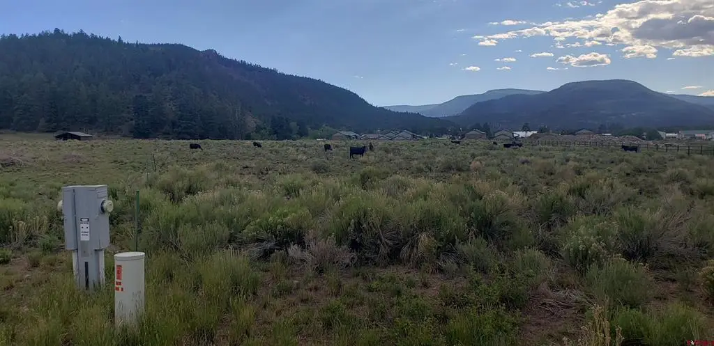 173 Willow Park Dr., South Fork, CO 81154 - #1