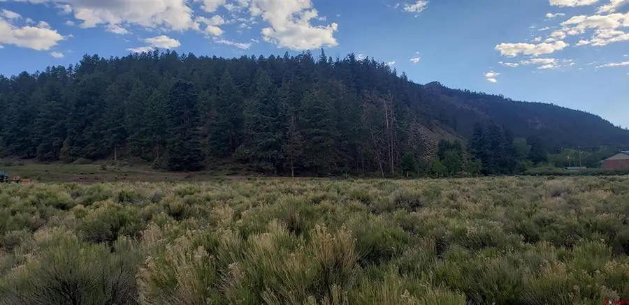 173 Willow Park Dr., South Fork, CO 81154 - #2