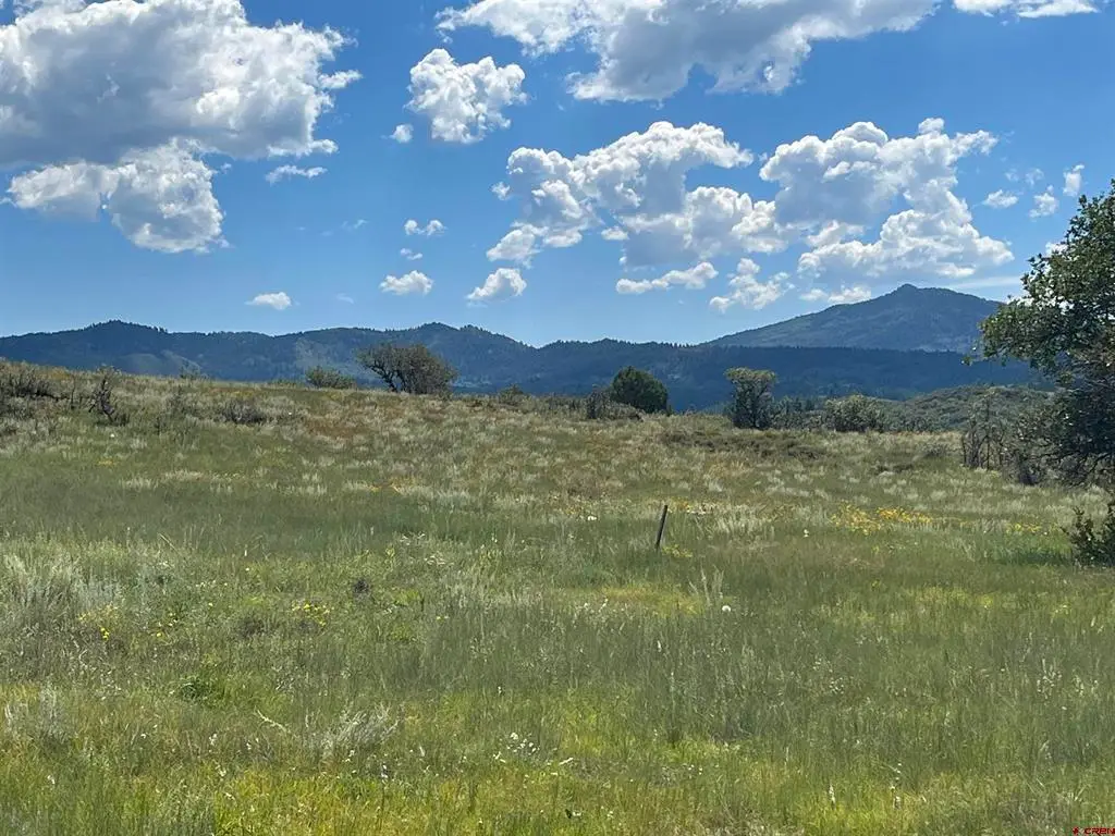 1174 W Arbol Park Drive, Chromo, CO 81147 - #1