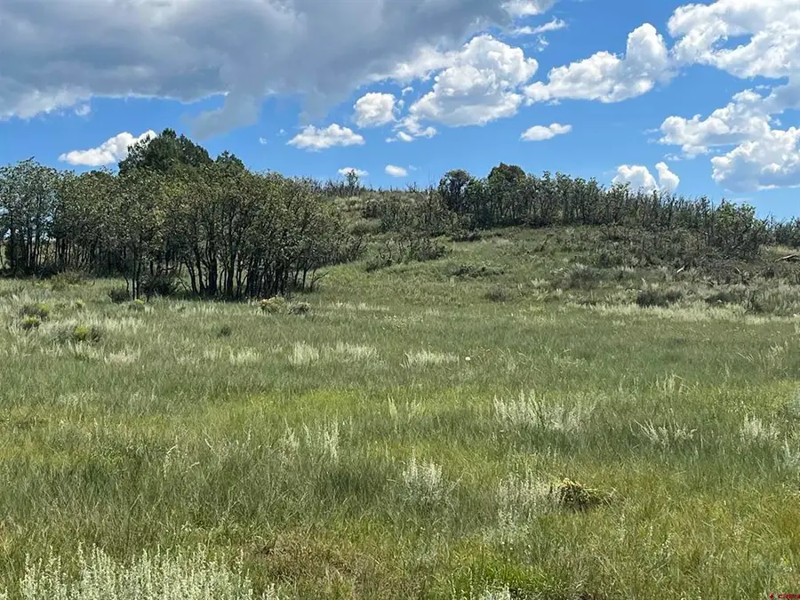 1174 W Arbol Park Drive, Chromo, CO 81147 - #2