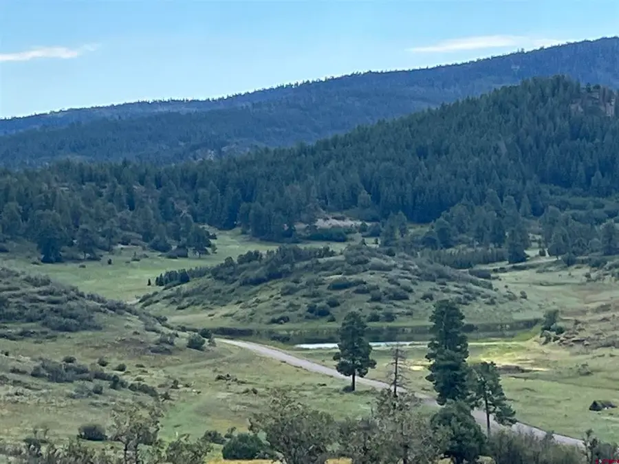 1174 W Arbol Park Drive, Chromo, CO 81147 - #3