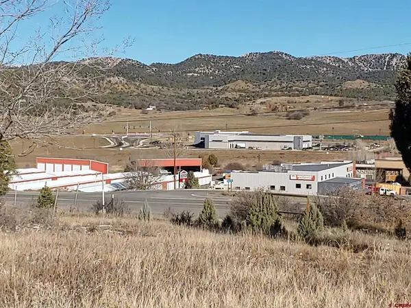 111 Cr 232, Durango, CO 81303