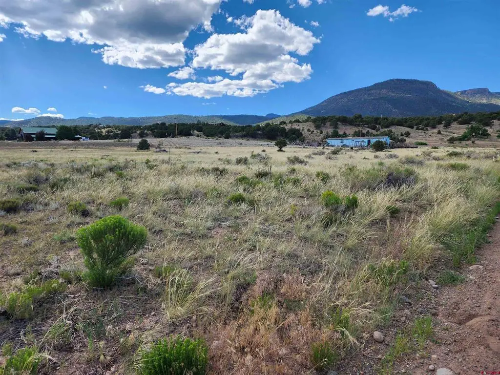 1275 Mohee Rd, South Fork, CO 81154 - #1