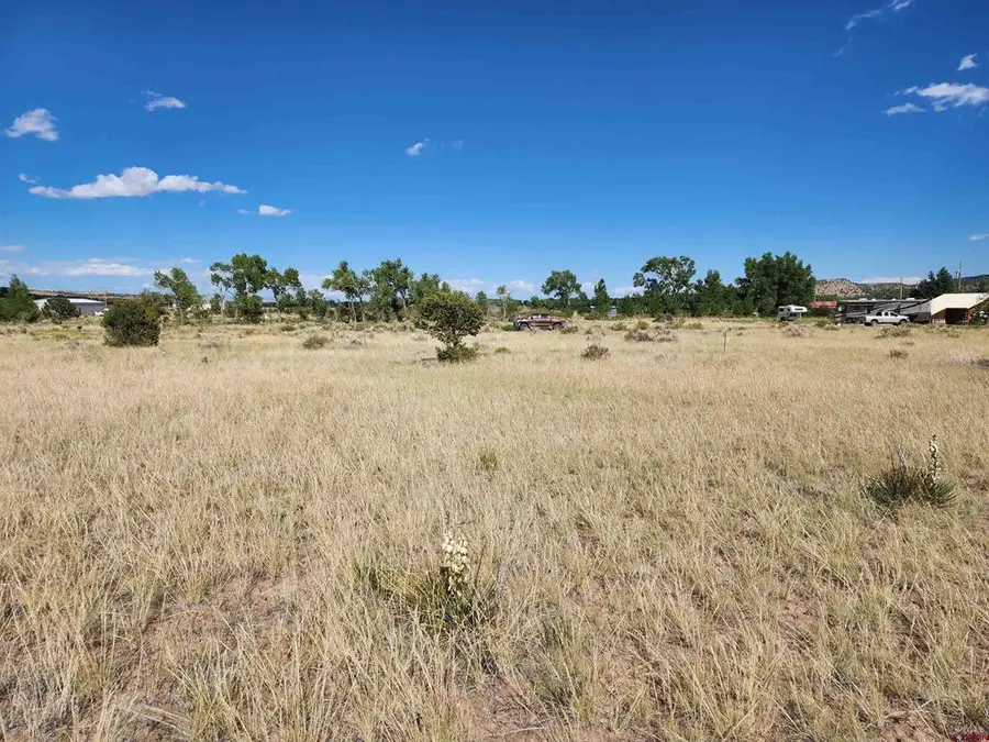 1275 Mohee Rd, South Fork, CO 81154 - #2