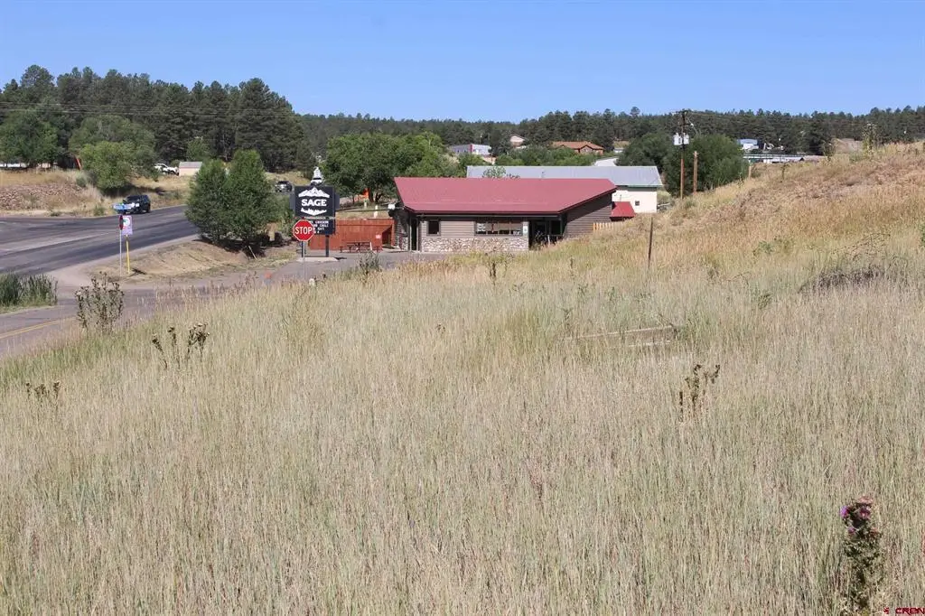 832 Rosita Street, Pagosa Springs, CO 81147 - #1