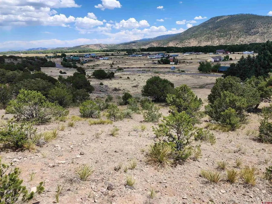 337 Trinchera Rd, South Fork, CO 81154 - #2