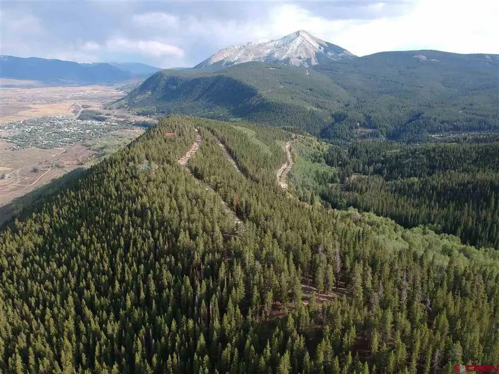 2890 Trappers Way, Crested Butte, CO 81224 - #1
