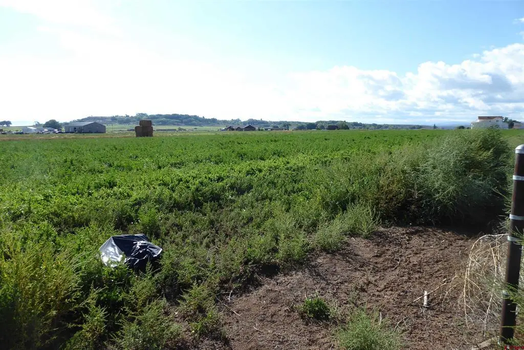 TBD Jig Road, Montrose, CO 81401 - #1