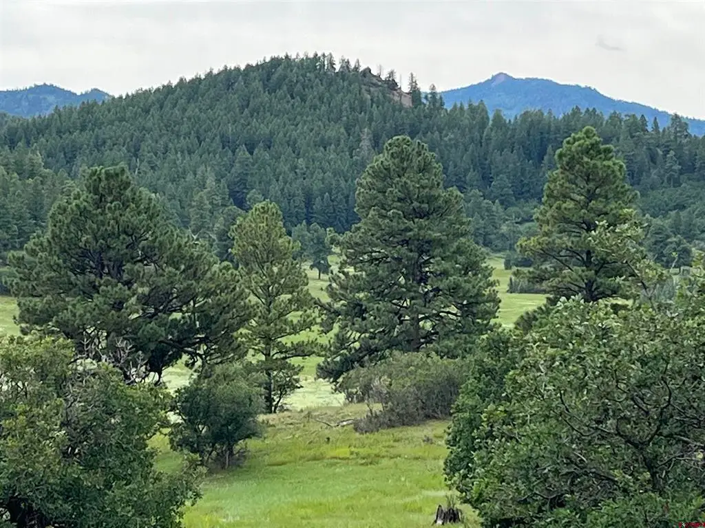 1240 Crowley Drive, Chromo, CO 81128 - #1
