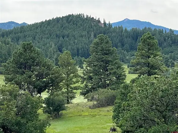 1240 Crowley Drive, Chromo, CO 81128