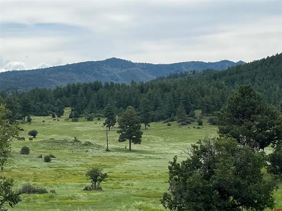 1240 Crowley Drive, Chromo, CO 81128 - #2