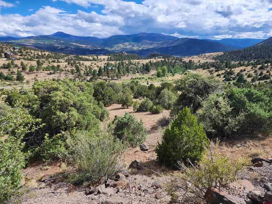2867 Bear Creek Cir, South Fork, CO 81154 - #2
