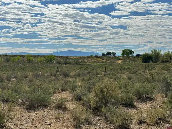 TBD 5925 Trail, Montrose, CO 81403