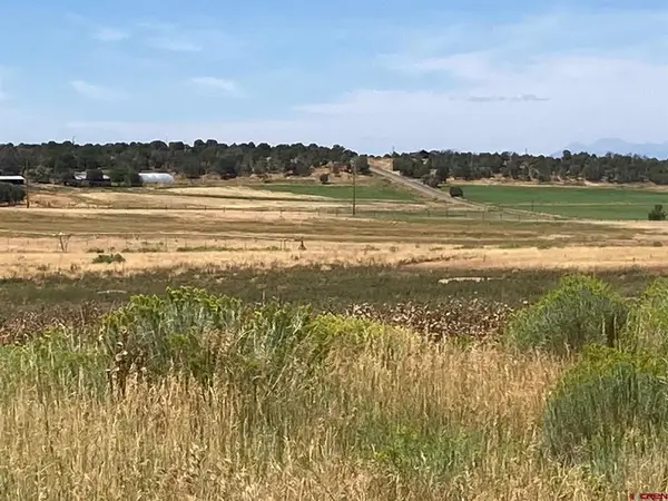 80 AC TBD 42zs Road, Norwood, CO 81423