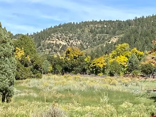 TBD Road 46, Mancos, CO 81328