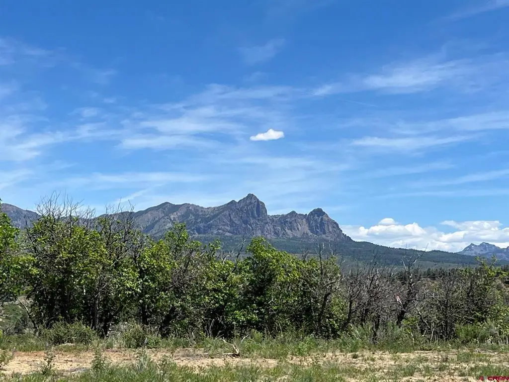 558 Henry's Lake Drive, Pagosa Springs, CO 81147 - #1