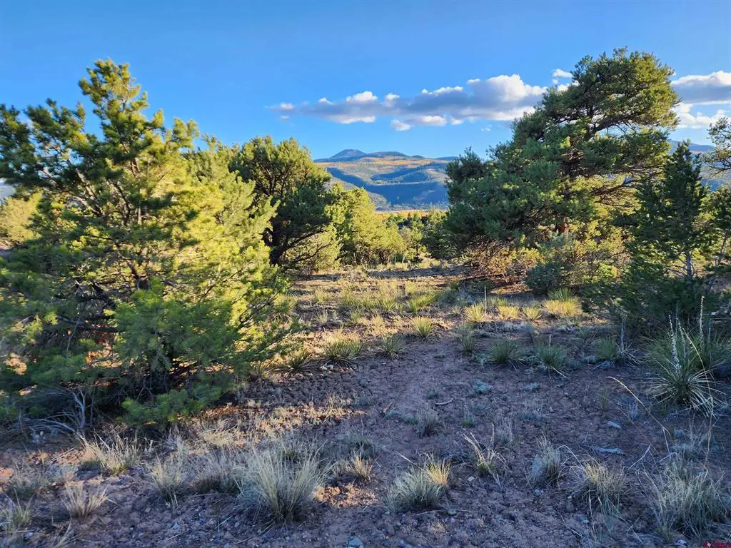 580 Kit Carson Rd, South Fork, CO 81154 - #1